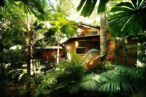Cape Tribulation Resort & Spa Eksteriør bilde