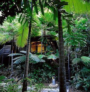 Cape Tribulation Resort & Spa Eksteriør bilde