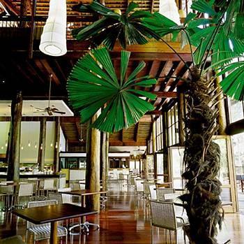 Cape Tribulation Resort & Spa Eksteriør bilde